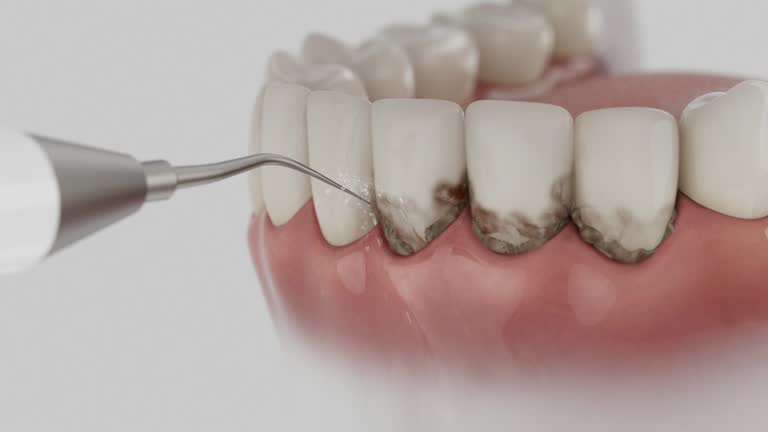 Reliable Dental contractor in Brittany Farms-The Highlands, PA by Dentist Open Now